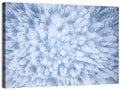 Snow-dusted Evergreen Canopy Wall Art