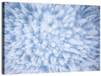 Snow-dusted Evergreen Canopy Wall Art
