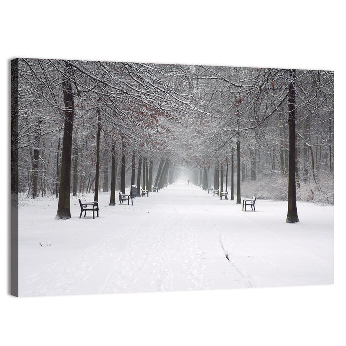 Snow Covered Park Lane Wall Art as a canvas print