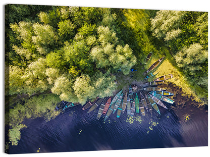 Cluster of Boats Along Forest Shore Wall Art