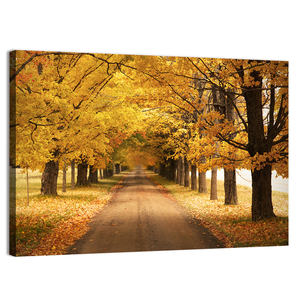 Golden Autumn Road Wall Art, canvas print, landscape