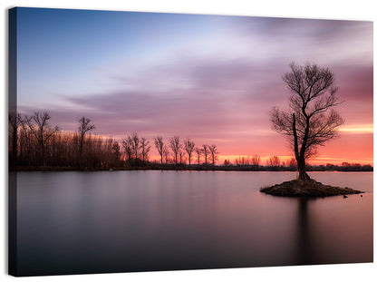 Solitary Island Tree at Sunset Wall Art