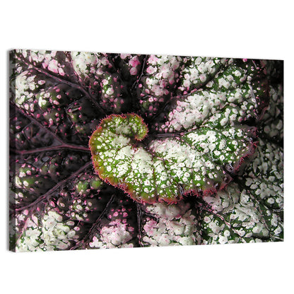 Begonia Leaf Spiral Geometry Wall Art