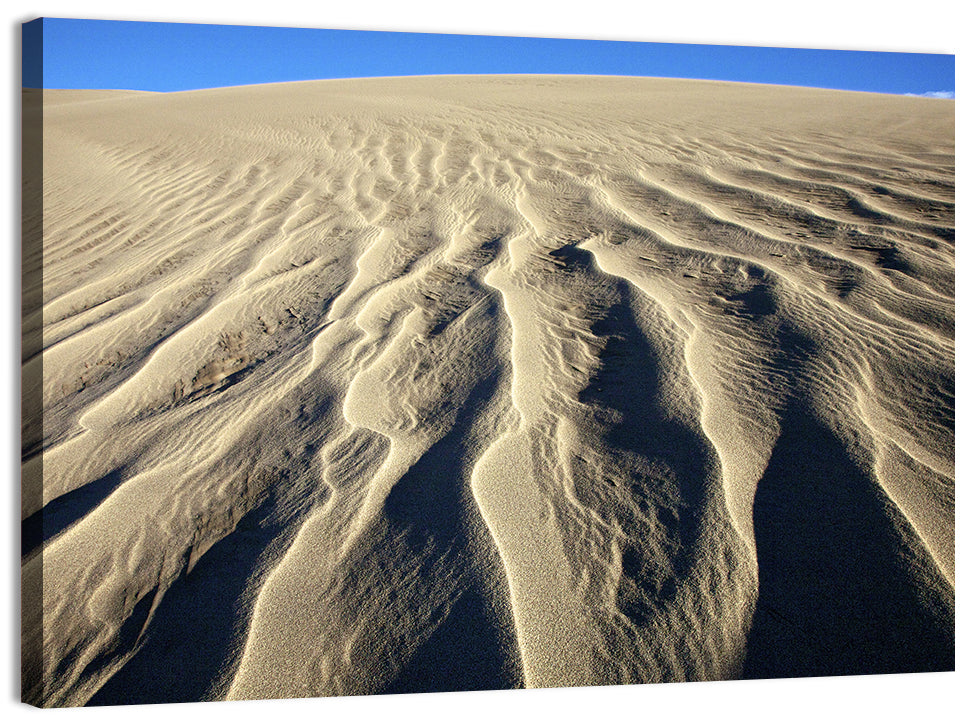 Endless Rippled Sand Dunes Wall Art
