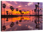 Palm Trees Sunset Reflection Wall Art
