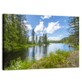 Lake Pend Oreille Wildflower View Wall Art
