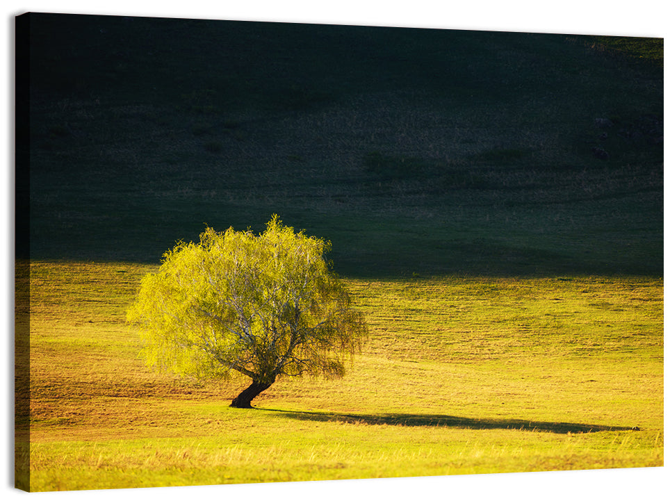Lone Tree in Golden Meadow Wall Art