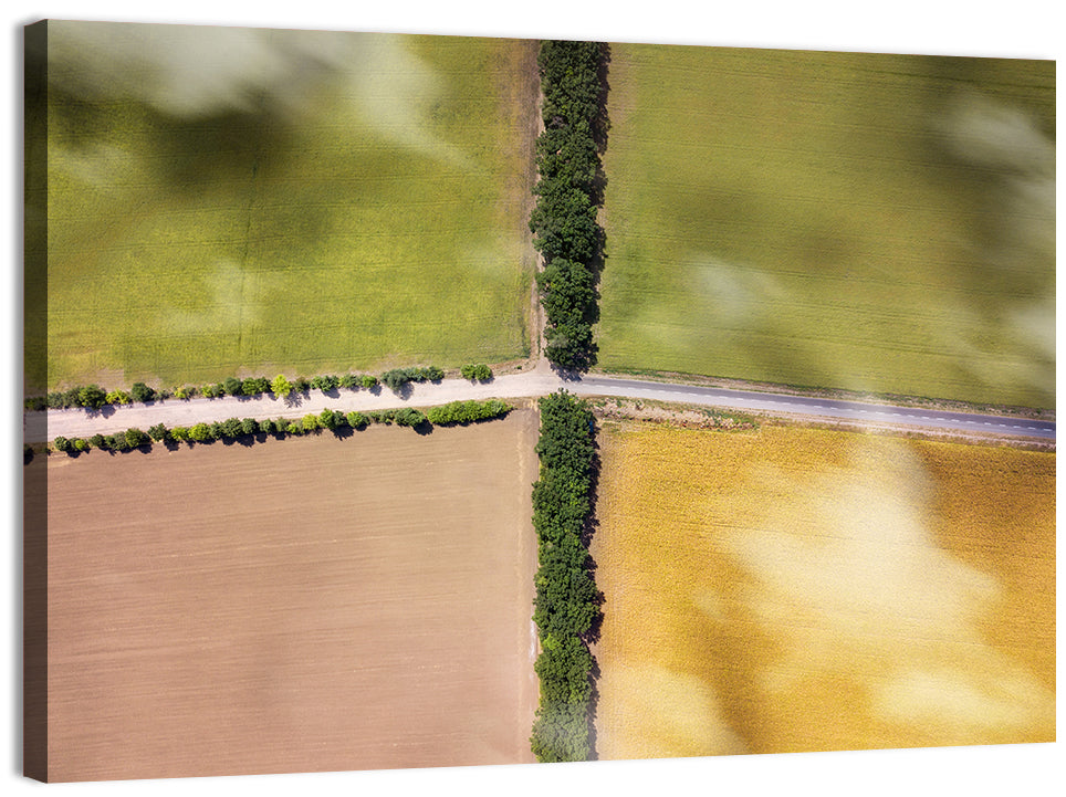 Aerial Farmland Quadrants Wall Art