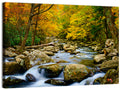 Autumn Stream Through Forest Wall Art