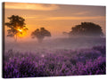 Misty Heather Field at Dawn Wall Art