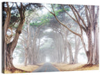 Misty Morning Alleyway Wall Art