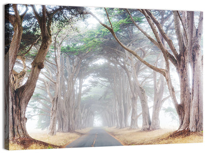 Misty Morning Alleyway Wall Art