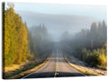 Misty Finnish Forest Highway Wall Art