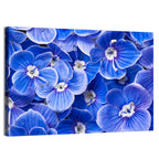 Blue Wildflower Close-up Wall Art