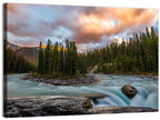 Sunwapta Falls River View Wall Art