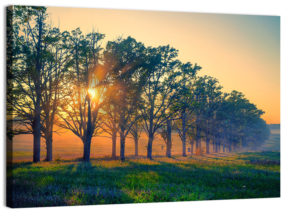 Oak Alley Golden Hour Wall Art, canvas print, landscape