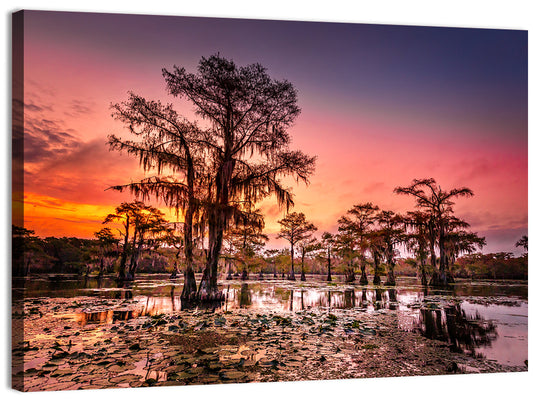 Caddo Lake State Park Wall Art