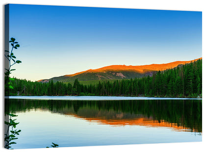 Bear Lake Morning Light, Estes Park Wall Art