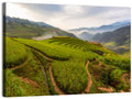 Terraced Rice Paddies Wall Art