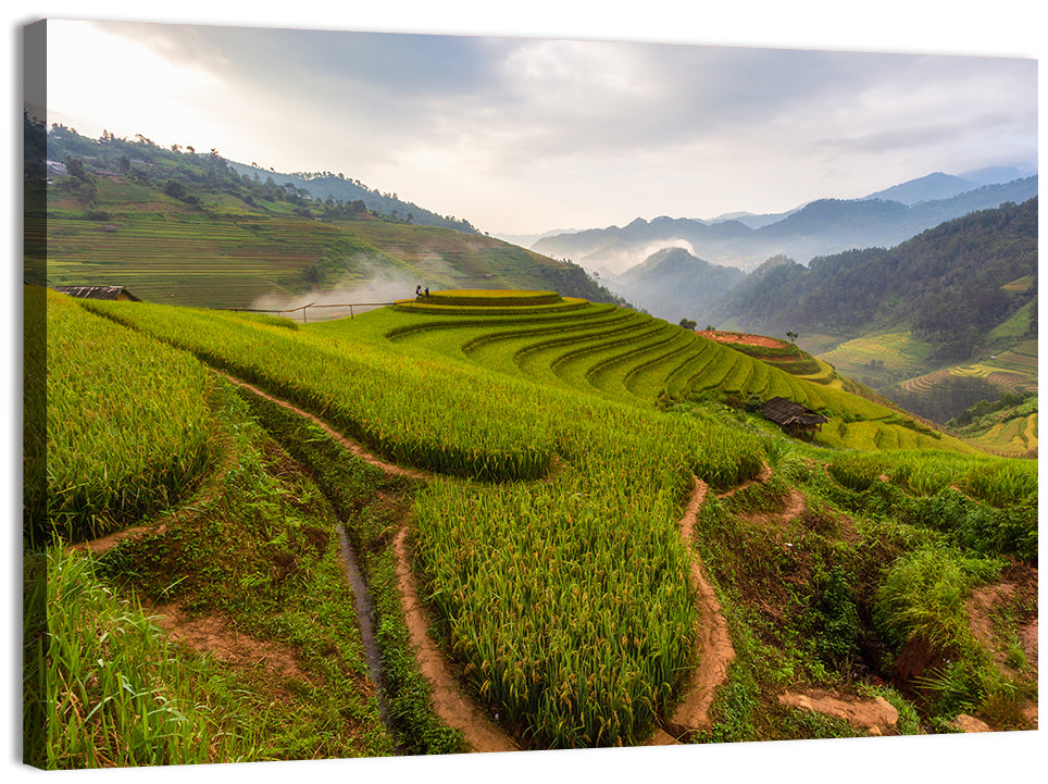 Terraced Rice Paddies Wall Art, canvas print, landscape