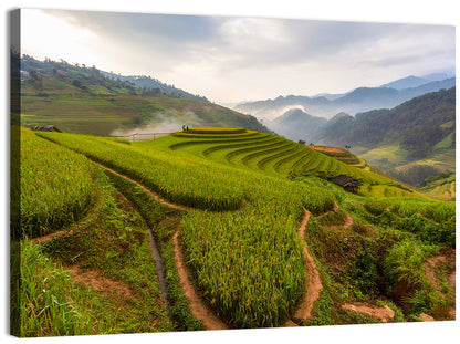 Terraced Rice Paddies Wall Art