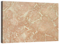 Fossil Veins Marble Study Wall Art