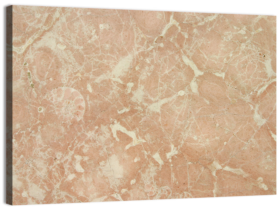 Fossil Veins Marble Study Wall Art