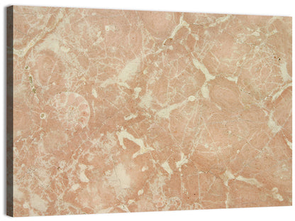 Fossil Veins Marble Study Wall Art