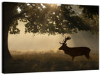 Misty Stag Silhouette Wall Art