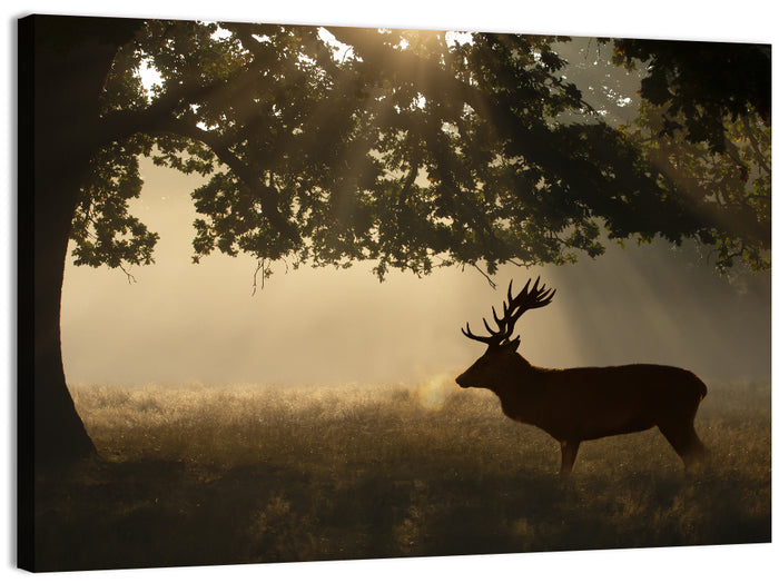Misty Stag Silhouette Wall Art as a canvas print