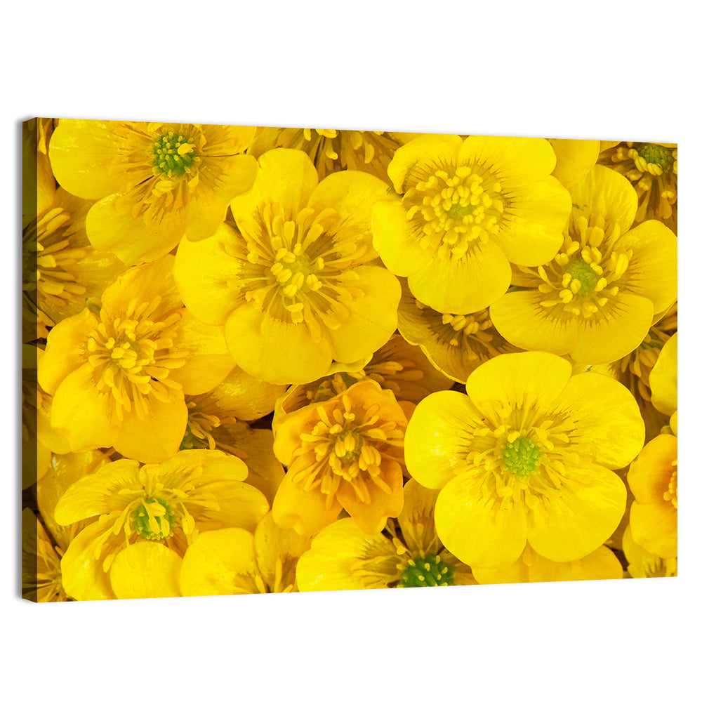 Yellow Buttercup Close-up Wall Art, canvas print, landscape