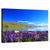 Lake Tekapo Wall Art