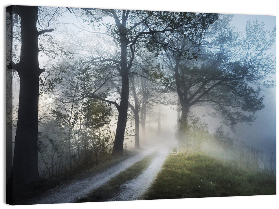 Foggy Forest Pathway Wall Art