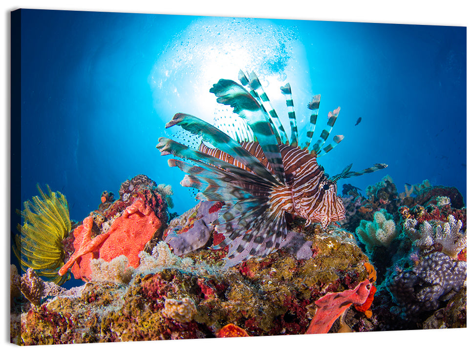 Lionfish in Coral Reef Wall Art, canvas print, landscape