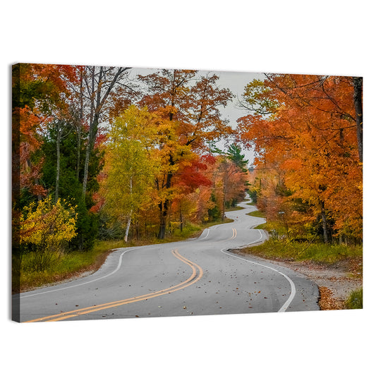 Winding Autumn Highway Wall Art