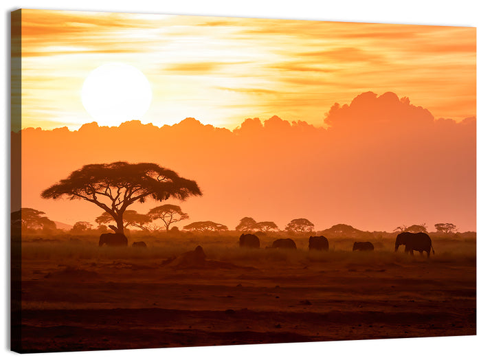 African Elephant Herd at Sunset Wall Art as a canvas print