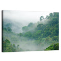 Misty Rainforest Morning Wall Art
