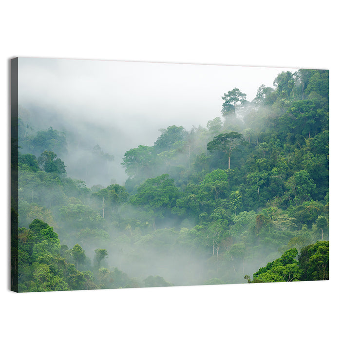 Misty Rainforest Morning Wall Art as a canvas print