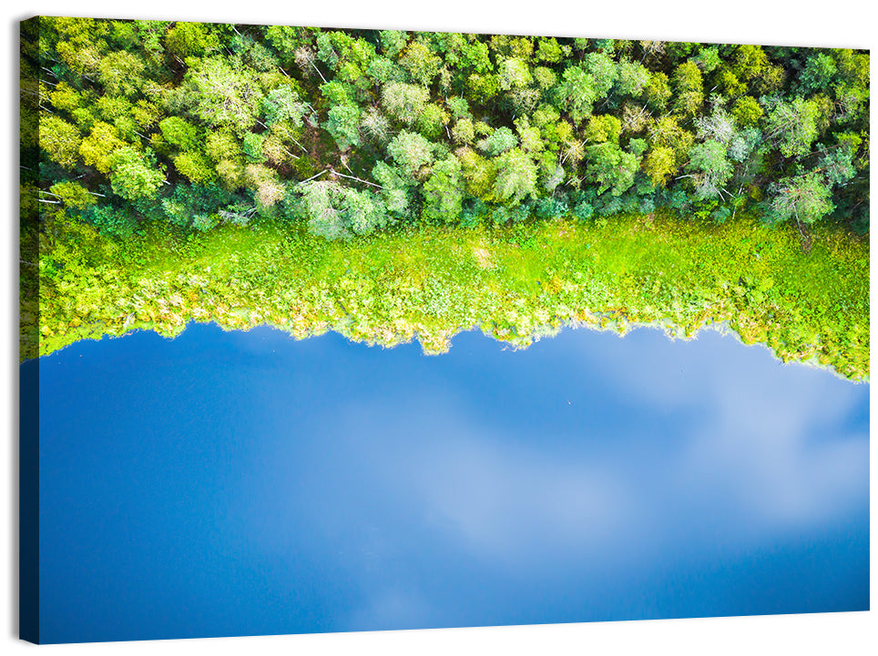 Aerial Blue Lake Over Woodland Wall Art