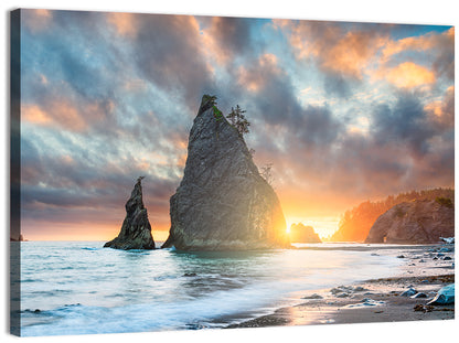 Olympic National Park Sunset Sea Stacks Wall Art