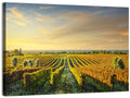 Bolgheri Vineyard Wall Art