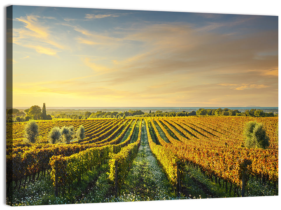 Bolgheri Vineyard Wall Art, canvas print, landscape