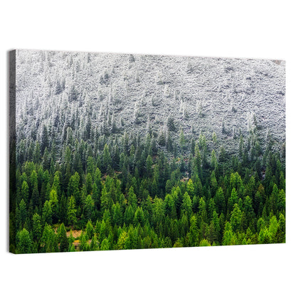 Snowy Dolomites Forest Wall Art