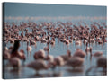 Flamingos at Lake Bagoria Wall Art