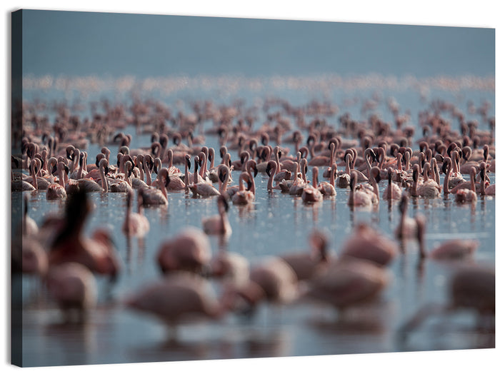 Flamingos at Lake Bagoria Wall Art as a canvas print