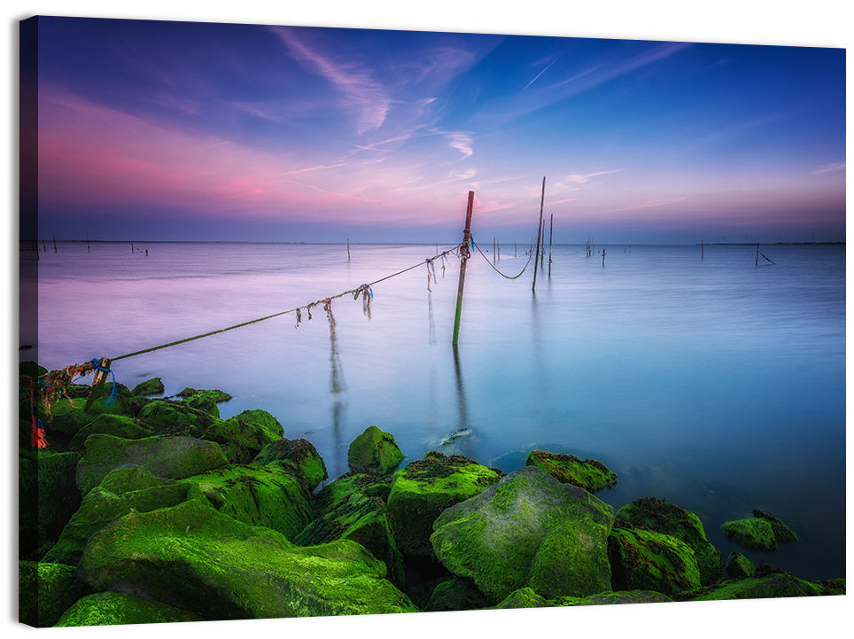 Mossy Coastal Rocks at Dusk Wall Art, canvas print, landscape