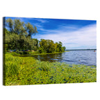 Zegrzynskie Reservoir Landscape Wall Art