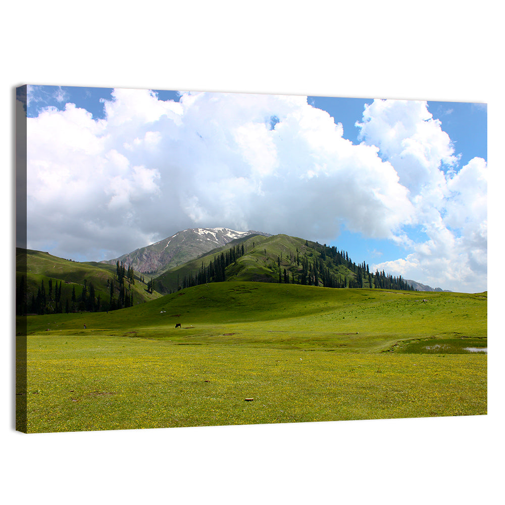 Seri Paya Mountain Meadow Wall Art, canvas print, landscape
