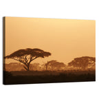 Amboseli Savanna Sunset Wall Art