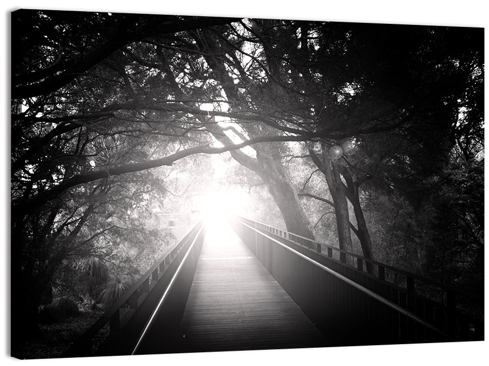 Foggy Forest Bridge Wall Art